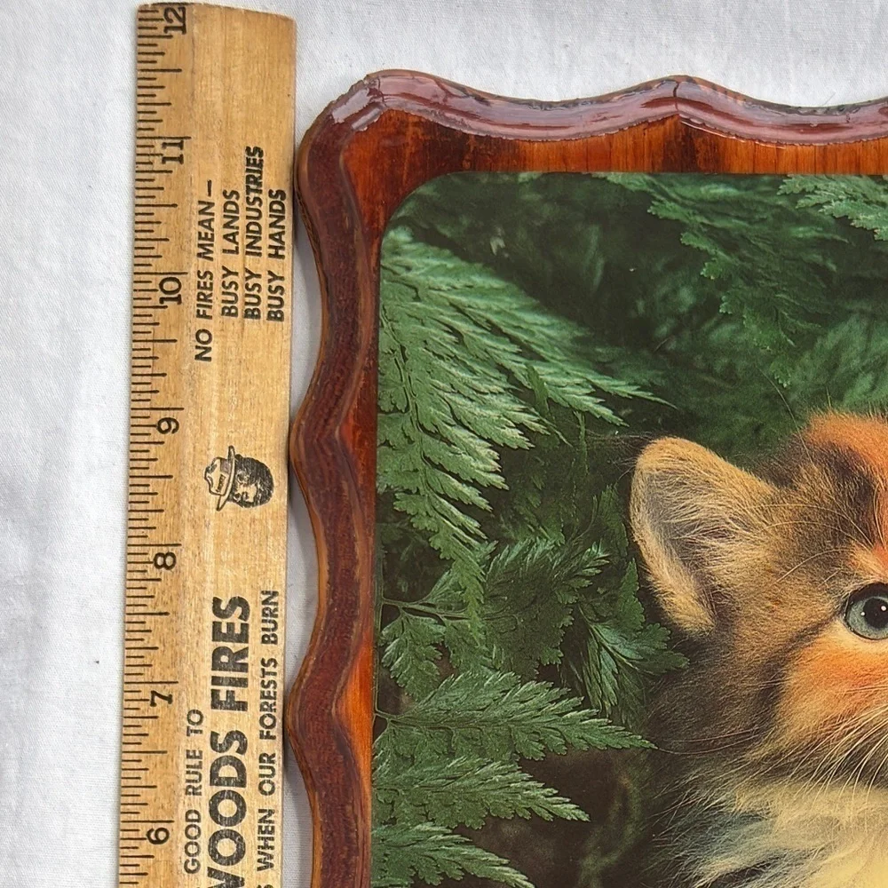 VTG Kitten Picture Lacquered Mounted Decor Calico Cat 9